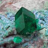 Dioptasa con Shattuckita<br />Mina Tantara, Shinkolobwe, Cinturón de cobre de Katanga, Katanga (Shaba), República Democrática del Congo (Zaire)<br />tamaño de la pieza: 6 × 4.9 × 3.2 cm / cristal mayor: 0.7 × 0.5 cm<br /> (Autor: Jordi Fabre)
