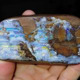Opal<br />Quilpie, Quilpie Shire, Queensland, Australia<br />Specimen 9 x 5 cm<br /> (Author: Tobi)