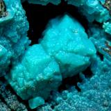 Chrysocolla after BoleiteManto 3, Santa Rosalía (El Boleo), Boleo District, Municipio Mulegé, Baja California Sur, Mexicomain crystal: 0.7 × 0.7 cm (Author: Jordi Fabre)