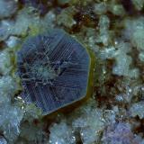 Osumilite, Tridymite, MuscowiteCantera Funtanafigu, Marrubiu, Monte Arci, Provincia Oristano, Cerdeña/Sardegna, Italia1,5 x 1,3 cm (Author: Volkmar Stingl)