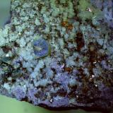 Osumilite, Tridymite, MuscowiteCantera Funtanafigu, Marrubiu, Monte Arci, Provincia Oristano, Cerdeña/Sardegna, Italia1,5 x 1,3 cm (Author: Volkmar Stingl)
