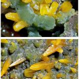 Wulfenite with MimetiteOjuela Mine, level 6, San Juan Poniente, Mapimí, Municipio Mapimí, Durango, Mexico15 cm x 9 cm x 8 cm (Author: silvia)
