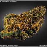 Wulfenite with MimetiteOjuela Mine, level 6, San Juan Poniente, Mapimí, Municipio Mapimí, Durango, Mexico15 cm x 9 cm x 8 cm (Author: silvia)