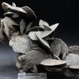 Rosa de Yeso<br />Bahía de Paracas, Distrito Paracas, Provincia Pisco, Departamento Ica, Perú<br />15.5 x 9 cm<br /> (Autor: Pedro Antonio)