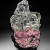 Rhodochrosite, Gypsum (variety selenite)Distrito Santa Eulalia, Municipio Aquiles Serdán, Chihuahua, México15.0 x 9.0 cm (Author: am mizunaka)