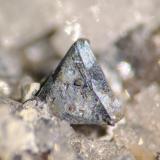 Freibergita, Cuarzo<br />Mina Relámpago, Hiendelaencina, Comarca Serranía de Guadalajara, Guadalajara, Castilla-La Mancha, España<br />Cristal 3 x 3 mm<br /> (Autor: carles)