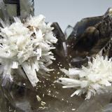 Bertrandite on Quartz (variety smoky)<br />Kara-Oba area, Betpak-Dala (Bet-Pak-Dala) Desert, Karaganda Region, Kazakhstan<br />main crystal: 1 × 0.2 cm<br /> (Author: Jordi Fabre)