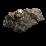 Pyrite<br />Molini di Triora, Imperia Province, Liguria, Italy<br />124 mm x 70 mm x 62 mm<br /> (Author: Dany Mabillard)