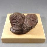 Pirita<br />West Bay, Península Port au Port, Terranova (Isla), Newfoundland and Labrador, Canadá<br />5,2 x 4,2 x 3,8 cm.  176,3 gramos.<br /> (Autor: J. G. Alcolea)