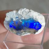 Opal<br />Coober Pedy, Central North, South Australia, Australia<br />Specimen size 3 cm<br /> (Author: Tobi)