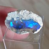 Opal<br />Coober Pedy, Central North, South Australia, Australia<br />Specimen size 3 cm<br /> (Author: Tobi)