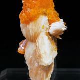 Wulfenite on BaryteMina Les Dalles (Mina Lidal), distrito minero Mibladen, Mibladen, Midelt, Provincia Midelt, Región Drâa-Tafilalet, Marruecos5.3 × 2.1 × 3.5 cm (Author: Jordi Fabre)