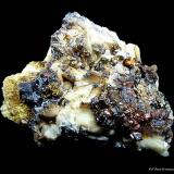 Marcasita y Calcopirita.<br />Mina Regia, Bellmunt del Priorat, Comarca Priorat, Tarragona, Cataluña / Catalunya, España<br />50x40 mm.<br /> (Autor: Jesus Franquesa Baucells)