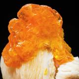 Wulfenite on BaryteMina Les Dalles (Mina Lidal), distrito minero Mibladen, Mibladen, Midelt, Provincia Midelt, Región Drâa-Tafilalet, Marruecosmain crystal: 2 × 1.8 cm (Author: Jordi Fabre)
