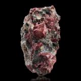 Eudialita en Apatito (Grupo)<br />Mina Kirovskii, Monte Kukisvumchorr, Macizo Khibiny, Península Kola, Murmanskaja Oblast, Región del Norte, Rusia<br />10 x 8 x 6 cm / Cristal principal: 5.5 cm.<br /> (Autor: Museo MIM)