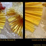En el primer post mostré una comparativa de fotografías "objetivo macro versus objetivo microscopio 4X", de un ejemplar de Cacoxenita. Ahora añado otra nueva comparativa de la misma pieza, fotos tomadas con el obj. 5X y con el 10X, y ambas ya sobre el reail motorizado. (Autor: Jose Angel Carrero)