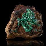 Euchroite with Azurite and TenoriteSvätoduná, Ľubietová (Libethen), Banská Bystrica, Eslovaquia10.5 x 10 x 5 cm / main crystal: 0.7 cm (Author: MIM Museum) Euchroite with Azurite and TenoriteSvätoduná, Ľubietová (Libethen), Banská Bystrica, Eslovaquia10.5 x 10 x 5 cm / main crystal: 0.7 cm (Author: MIM Museum)