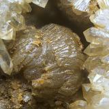 ValentinitaMina Caracocha, Cabarcos, Riamonte de Abaixo, Cervantes, Comarca Os Ancares, Lugo, Galicia / Galiza, EspañaCampo de visión de  5 mm. (Autor: Antonio Carmona)