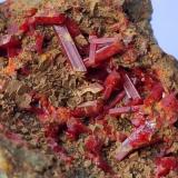 Realgar, SideriteCima di Val Fontana, Valle Campo Moro, Lanzada, Valle Lanterna, Valmalenco, Valtellina, Provincia Sondrio, Lombardía, Italiaca. 2,5 x 2 cm (Author: Volkmar Stingl)