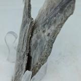 MuscovitaSierra de San Pedro Mártir, Municipio Ensenada, Baja California, México90x37x3 mm. (Autor: Luis Edmundo Sánchez Roja)