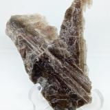 MuscovitaSierra de San Pedro Mártir, Municipio Ensenada, Baja California, México90x37x3 mm. (Autor: Luis Edmundo Sánchez Roja)