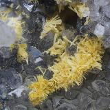 ValentinitaMina Caracocha, Cabarcos, Riamonte de Abaixo, Cervantes, Comarca Os Ancares, Lugo, Galicia / Galiza, EspañaCampo de visión de  5 mm. (Autor: Antonio Carmona)