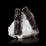 PainiteOhngaing, Valle Mogok, Mogok, Distrito Pyin-Oo-Lwin, Región Mandalay (Division Mandalay), Myanmar (Burma)5.5 x 3 x 5 cm / main crystal: 4 cm. (Author: MIM Museum) PainiteOhngaing, Valle Mogok, Mogok, Distrito Pyin-Oo-Lwin, Región Mandalay (Division Mandalay), Myanmar (Burma)5.5 x 3 x 5 cm / main crystal: 4 cm. (Author: MIM Museum)