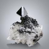 Esfalerita (variedad marmatita) con Cuarzo y Galena<br />Complejo Trepča, Valle Trepča, Kosovska Mitrovica, Distrito Kosovska Mitrovica, Kosovo<br />11 x 8 x 9 cm / Cristal principal: 2.7 cm.<br /> (Autor: Museo MIM)
