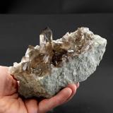 Smoky quartz<br />Rienzenstock Peak, Rien Valley, Reuss Valley, Uri, Switzerland<br />Specimen size 16,5 cm, largest crystal 6 cm<br /> (Author: Tobi)