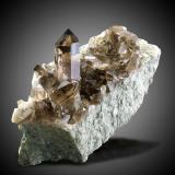 Smoky quartz<br />Rienzenstock Peak, Rien Valley, Reuss Valley, Uri, Switzerland<br />Specimen size 16,5 cm, largest crystal 6 cm<br /> (Author: Tobi)
