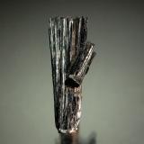 ManganiteIlfeld, Nordhausen, Distrito Nordhausen, Turingia/Thüringen, Alemania2.9 x 1.2 cm (Author: Michael Shaw)