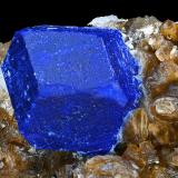 Lazurita con Flogopita<br />Sar-e Sang, Valle Koksha, Distritos Khash & Kuran Wa Munjan, Provincia Badakhshan, Afganistán<br />14 x 6.5 x 8.5 cm / Cristal principal: 4.6 cm.<br /> (Autor: Museo MIM)