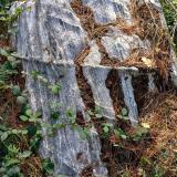 Bloque de granulita en los alrededores del mirador que presenta un bandeado composicional paralelo a la esquistosidad muy marcado y donde pueden observarse bien los granates típicos de estas rocas. (Autor: supertxango)