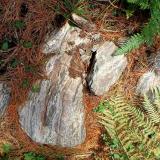 Bloque de granulita en los alrededores del mirador que presenta un bandeado composicional paralelo a la esquistosidad muy marcado y donde pueden observarse bien los granates típicos de estas rocas. (Autor: supertxango)