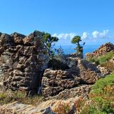 Las formaciones los karst serpentínicos son todo un espectáculo y combinados con la vegetación crean paisajes en miniatura como este. (Autor: supertxango)