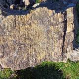Ejemplo de peridotita meteorizada y erosionada que da lugar a este paisaje de karst serpentínico. (Autor: supertxango)