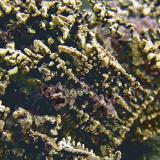 Silver with FluoriteMina El Bonanza, Port Radium, Distrito Mackenzie, Región Great Bear Lake, Territorios del Noroeste, Canadá4.2 × 3.9 × 3.2 cm (Author: Jordi Fabre)