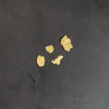 GoldRío Grümpen, Distrito Sonneberg, Turingia/Thüringen, Alemanialargest nugget 5 mm (Author: Tobi)