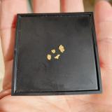 GoldRío Grümpen, Distrito Sonneberg, Turingia/Thüringen, Alemanialargest nugget 5 mm (Author: Tobi)