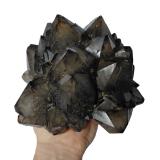 Quartz (variety smoky quartz)
Usingen quartzite works, Usingen, Hochtaunuskreis, Darmstadt, Hesse/Hessen, Germany
Specimen size 18 x 16 cm, largest crystals 6 cm
 (Author: Tobi) Quartz (variety smoky quartz)<br />Usingen quartzite works, Usingen, Hochtaunuskreis, Darmstadt, Hesse/Hessen, Germany<br />Specimen size 18 x 16 cm, largest crystals 6 cm<br /> (Author: Tobi)