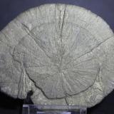 PIRITA
Sparta, Condado Randolph, Illinois, USA
80 x 65
 (Autor: Joaquin Blanco Cortina) PIRITA<br />Sparta, Condado Randolph, Illinois, USA<br />80 x 65<br /> (Autor: Joaquin Blanco Cortina)