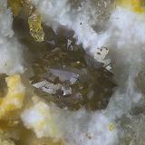 Descloizita<br />Mina San Francisco (antigua mina Pura), Higuera de Llerena, Comarca Campiña Sur, Badajoz, Extremadura, España<br />Campo de visión de  1 mm.<br /> (Autor: Antonio Carmona)