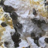 Descloizita<br />Mina San Francisco (antigua mina Pura), Higuera de Llerena, Comarca Campiña Sur, Badajoz, Extremadura, España<br />Campo de visión de  4 mm.<br /> (Autor: Antonio Carmona)