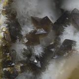 Descloizita<br />Mina San Francisco (antigua mina Pura), Higuera de Llerena, Comarca Campiña Sur, Badajoz, Extremadura, España<br />Campo de visión de  2 mm.<br /> (Autor: Antonio Carmona)