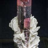 Elbaita (variedad rubellita) con Albita<br />Stak Nala, Montes Haramosh, Distrito Skardu, Gilgit-Baltistan (Áreas del Norte), Paquistán<br />7 × 3.4 × 3.3 cm / cristal principal: 5 × 1.5 cm<br /> (Autor: Jordi Fabre)