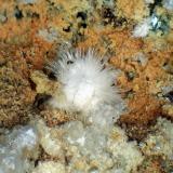 MoraesitaMina Ponte do Piauí, Valle Piauí, Taquaral, Itinga, Vale do Jequitinhonha, Minas Gerais, BrasilCampo de visión 6 mm. (Autor: Antonio P. López)