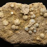 Clinoptilolita y Cuarzo (variedad calcedonia)<br />Volcán Cabezo Negro de Zeneta, Murcia, Comarca Huerta de Murcia, Región de Murcia (Murcia), España<br />10 x 6.5 cm<br /> (Autor: Pedro Antonio)