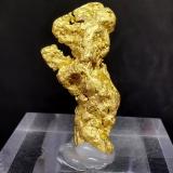 Oro NativoRegión histórica del Triángulo de Oro, Victoria, Australia3.5cm (Autor: Diego Navarro)