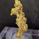 Oro NativoRegión histórica del Triángulo de Oro, Victoria, Australia3.2cm (Autor: Diego Navarro)