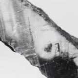 Proustita incluida en YesoMina La Platosa, Bermejillo, Municipio Mapimí, Durango, México115x20x23 mm. (Autor: Luis Edmundo Sánchez Roja)